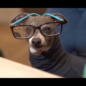 Meet your Posher, Emma